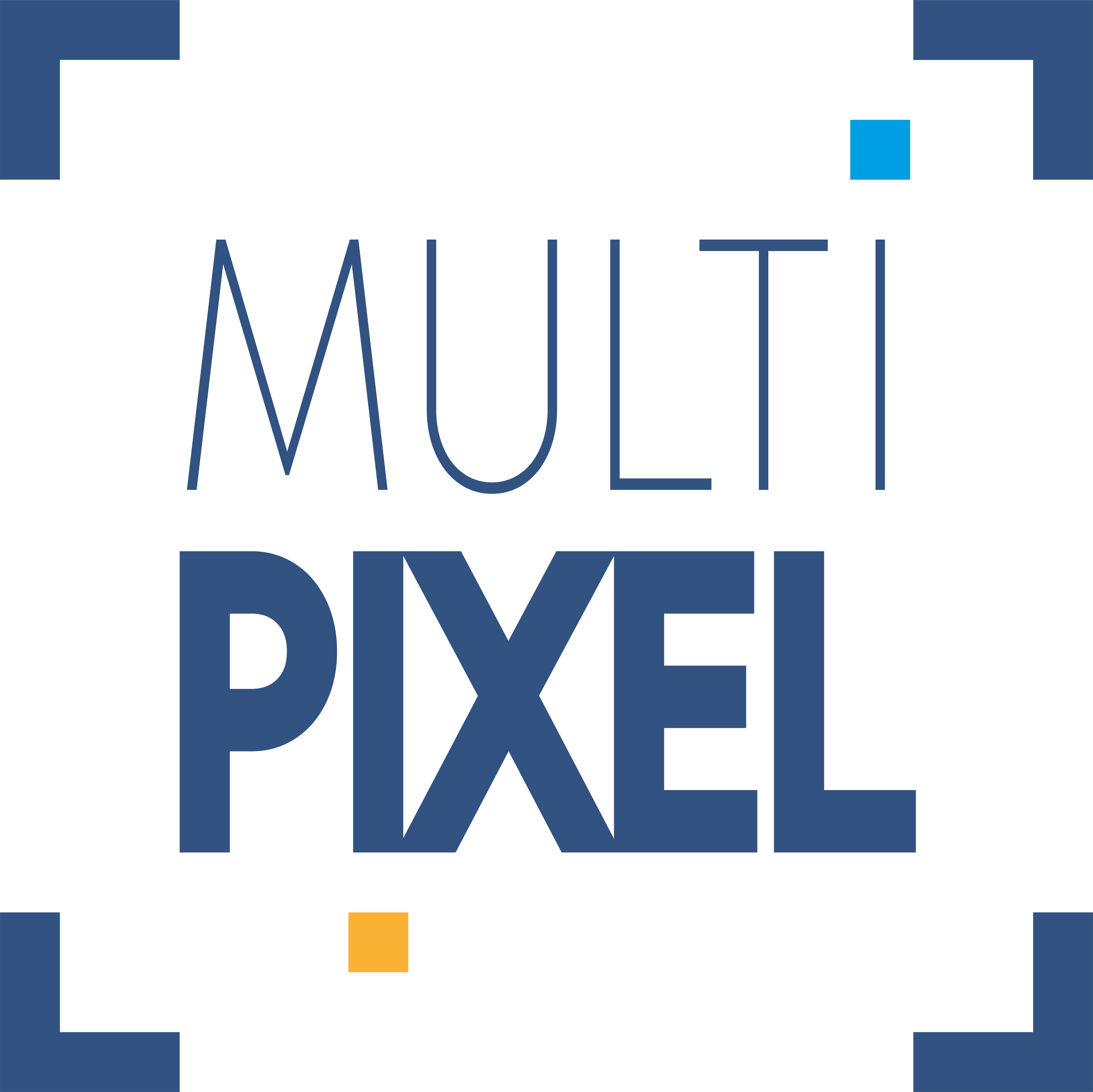 MULTIPIXEL - Willy LABOULLE
