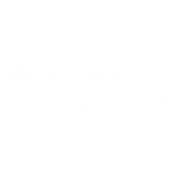 Bravo Drones