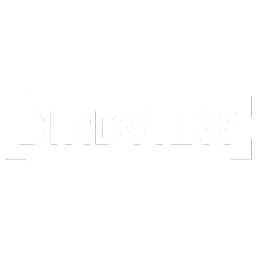 BIRDVIEW