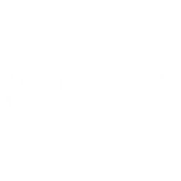 Avrio drone