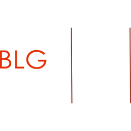 BLG MEDIA