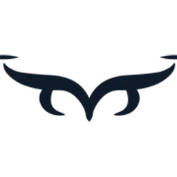 Otus Drones