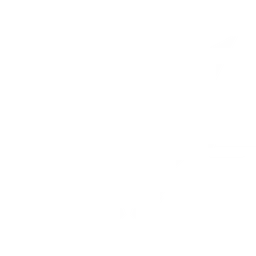 WOLF DRONE SOLUTIONS