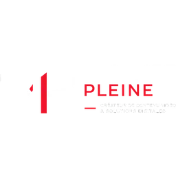 Mémoire Pleine