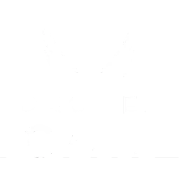Drones Icare