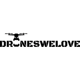DWL Drones