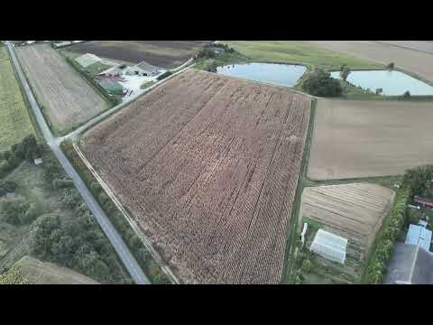 Moisson 2024 : Quand le drone filme la moisson 🌾🚜